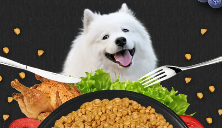 萨摩耶吃什么狗粮好一点 萨摩耶吃什么狗粮好一点