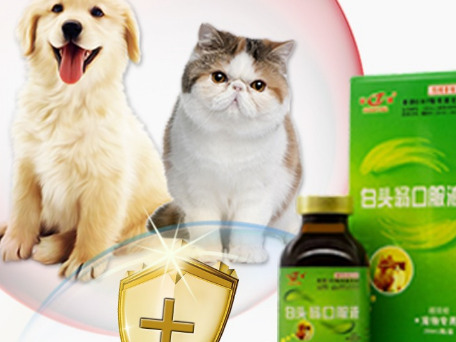金澳康威宠物药品怎么样？来看看吧