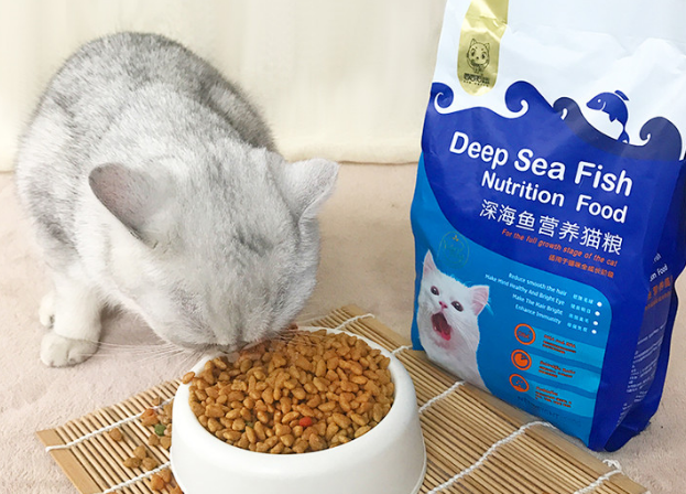 极宠家猫粮是正品吗 极宠家猫粮是正品吗