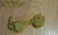 猫咪呕吐拉稀不怎么吃东西正常吗