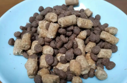 派涂猫粮可以给猫吃吗? 派涂猫粮可以给猫吃吗?