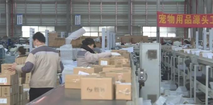 一文带你了解——煜宠宠物公司 一文带你了解——煜宠宠物公司