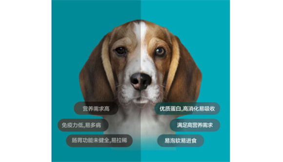 有人知道畅宠优品K系列的狗粮怎么样吗?到底值不值得入手? 有人知道畅宠优品K系列的狗粮怎么样吗?到底值不值得入手?
