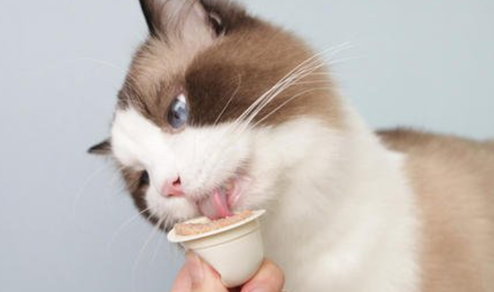 好香伴宠物零食安全吗? 好香伴宠物零食安全吗?