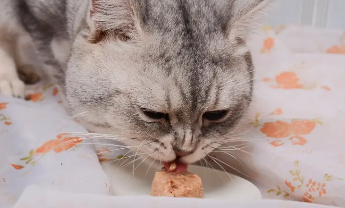 好香伴宠物零食安全吗? 好香伴宠物零食安全吗?