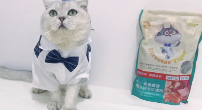 虎主任猫粮怎么样