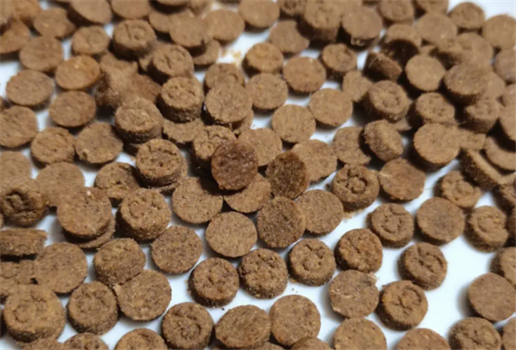 乐斯尼是哪里的牌子