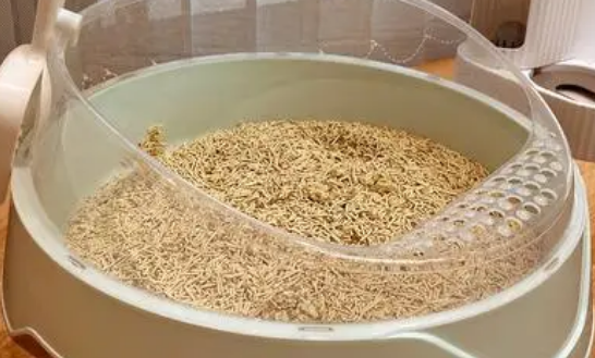 猫砂盆我就选有陪宠物！