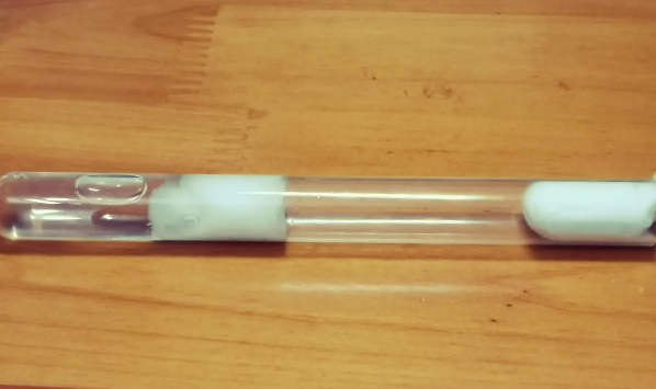 蚂蚁饲养新手入门知识是什么？来看看吧
