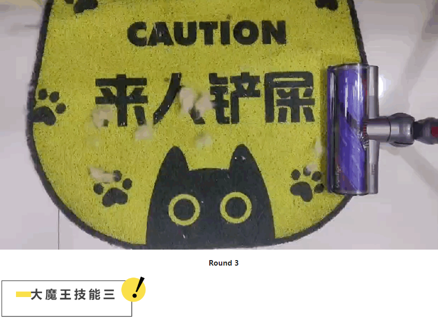 掉毛竟成遗弃猫咪一大主因?这题其实很好解…… 掉毛竟成遗弃猫咪一大主因?这题其实很好解……