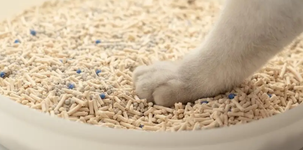 鄂芯鲜猫砂怎么样? 鄂芯鲜猫砂怎么样?