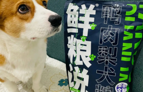 鲜粮说狗粮是毒狗粮吗？来了解下吧