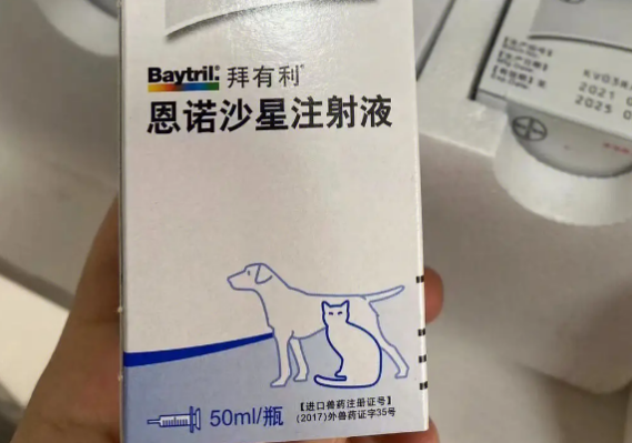 拜有利恩诺沙星多久生效 拜有利恩诺沙星多久生效
