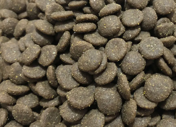 宠之初猫粮到底怎么样呢? 宠之初猫粮到底怎么样呢?