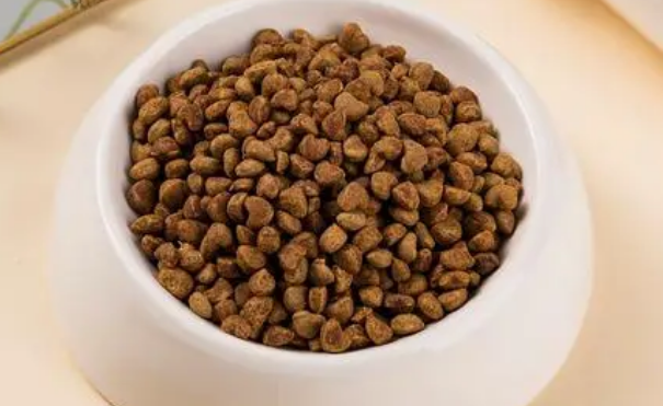 乐施昆虫蛋白全价粮:一款具有高营养价值的创新型宠物食品 乐施昆虫蛋白全价粮:一款具有高营养价值的创新型宠物食品