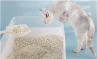 猫砂盆放哪里比较好呢?