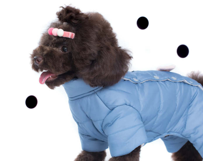 丑丑宠物衣服品牌是什么?不妨来看看吧 丑丑宠物衣服品牌是什么?不妨来看看吧