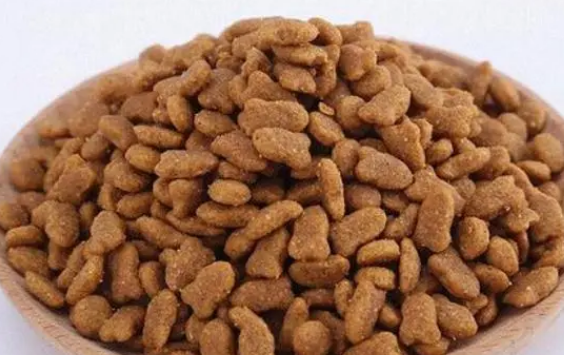 多可特猫粮怎么样？喂食猫粮有哪些注意点？