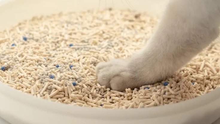Taji它记猫砂如何?使用注意点是什么? Taji它记猫砂如何?使用注意点是什么?