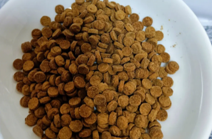 贝倍欢宠物食品怎么加盟？