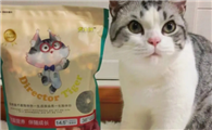 虎主任猫粮安全吗