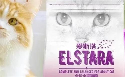 爱斯塔
