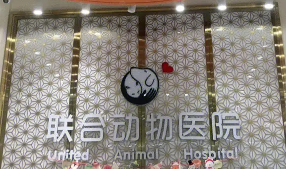 联合宠物医院怎么样?来看看吧 联合宠物医院怎么样?来看看吧