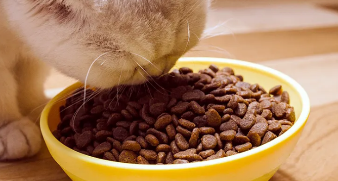 猫粮分享:宠确幸猫粮! 猫粮分享:宠确幸猫粮!