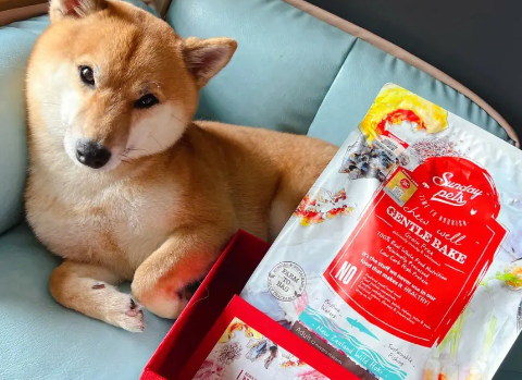 sundaypets狗粮怎么样 sundaypets狗粮怎么样