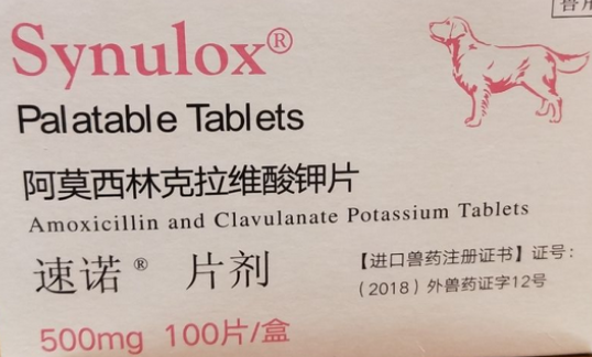 狗狗腹痛喝速诺片剂有效果吗 狗狗腹痛喝速诺片剂有效果吗