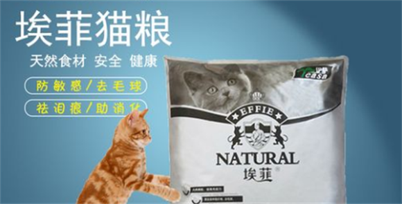埃菲猫粮是高档猫粮吗？不妨来看看吧