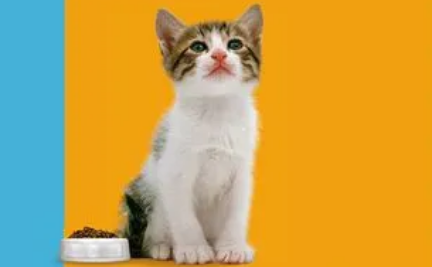 贝倍欢品牌介绍