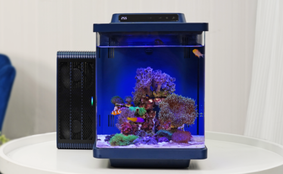 海享说鱼缸有造浪吗 海享说鱼缸有造浪吗