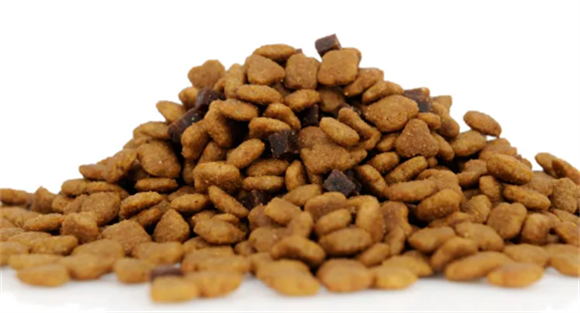 奥菲特猫粮怎么喂比较好,快来学习一下 奥菲特猫粮怎么喂比较好,快来学习一下
