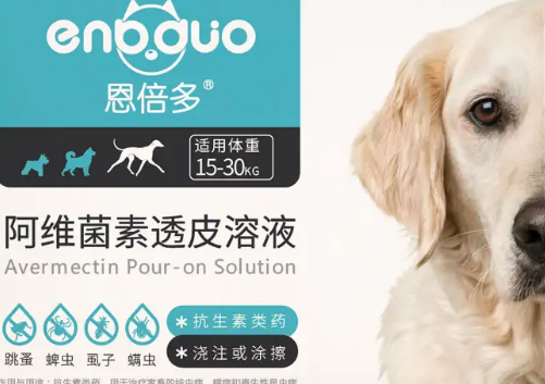 恩倍多体外驱虫安全吗?宠主来看看吧 恩倍多体外驱虫安全吗?宠主来看看吧