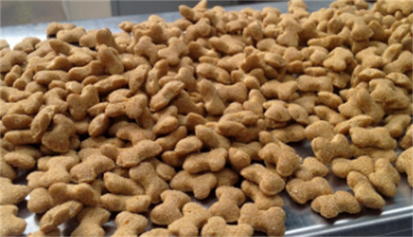 欢动猫粮怎么样?来了解一下吧 欢动猫粮怎么样?来了解一下吧