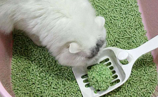 kojima猫砂怎么样? kojima猫砂怎么样?