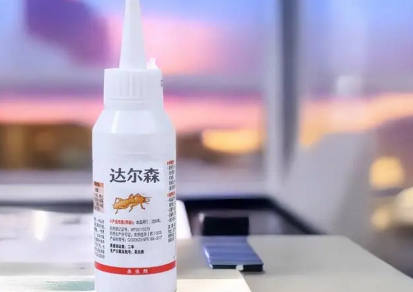 如何消除蚂蚁的方法，简单有效的蚂蚁灭治方式