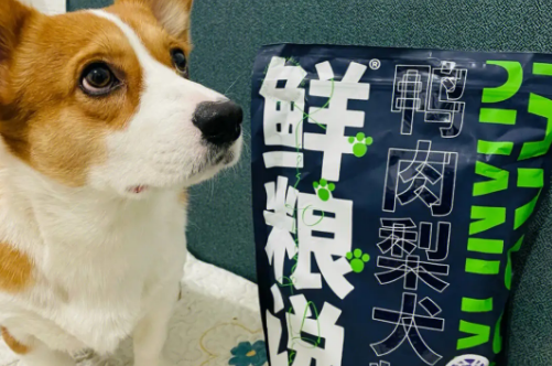 鲜粮说狗粮属于什么档次？来看看吧