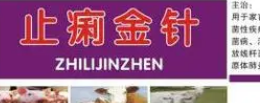 止痢金针是什么药?来看看吧 止痢金针是什么药?来看看吧
