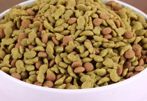 挑嘴猫粮咋样？让猫咪享受精致美食