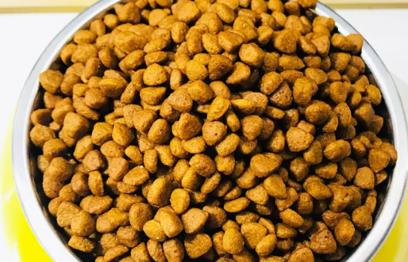安肯猫粮好吗 安肯猫粮好吗