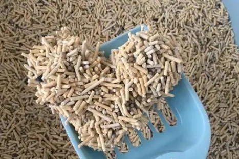 妮可露猫砂质量怎么样？