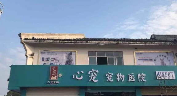 心宠宠物护理中心怎么样 心宠宠物护理中心怎么样