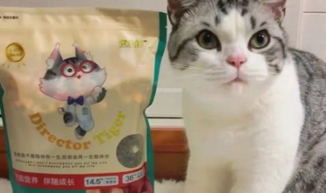 虎主任猫粮安全吗