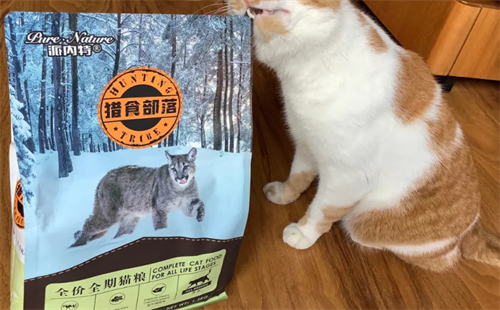 派内特猫粮