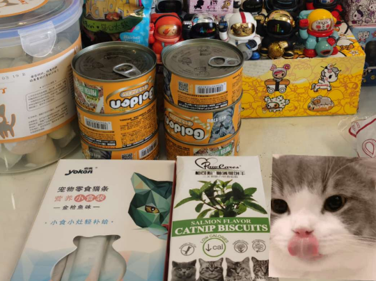 柏可心猫零食：给爱猫一份贴心的关爱