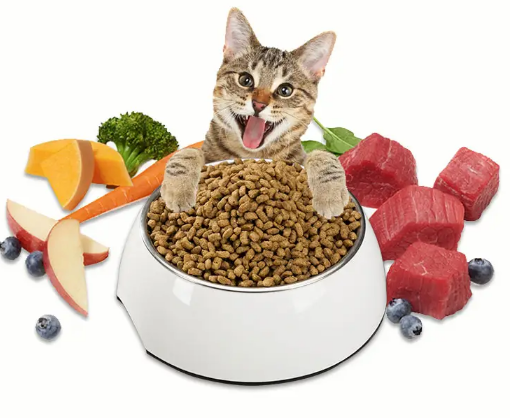 灵动猫粮怎么样好吃吗 灵动猫粮怎么样好吃吗