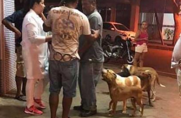 流浪汉街上晕倒被送医,六只流浪狗狗整夜守在医院门口感动无数人 流浪汉街上晕倒被送医,六只流浪狗狗整夜守在医院门口感动无数人