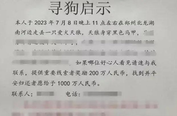 郑州狗主悬赏1000万找狗?大结局来了:杜撰的,已拘留!